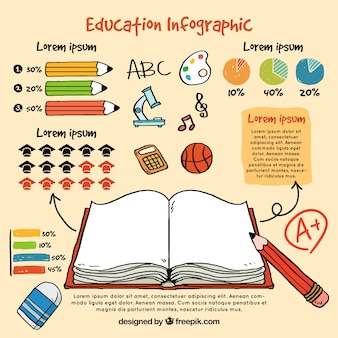 Infografía sobre la educación de los niños