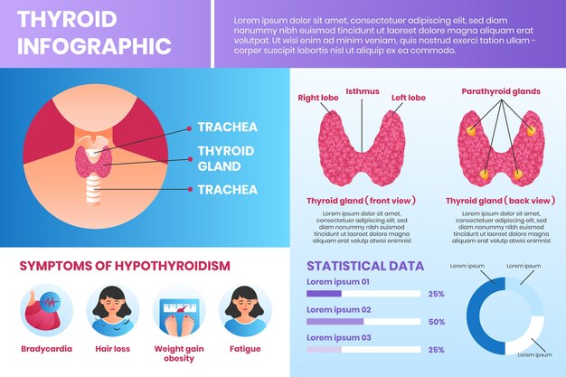 Infografía de tiroides en gradiente