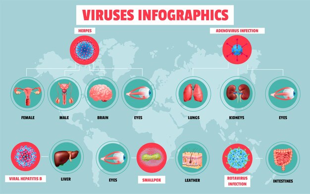 Infografía de virus realistas