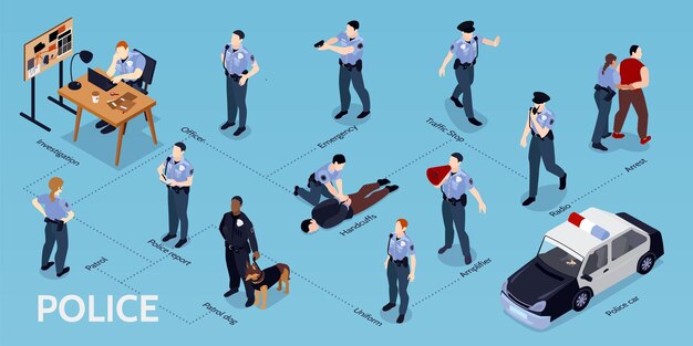 Infografías policiales isométricas con subtítulos de texto editables y diagrama de flujo con personajes humanos aislados e ilustración vectorial de coches de patrulla