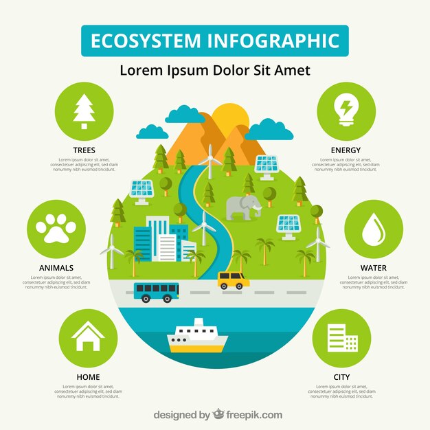 Infográfica del ecosistema