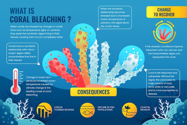 Vector gratuito infográfico de blanqueo de coral en gradiente