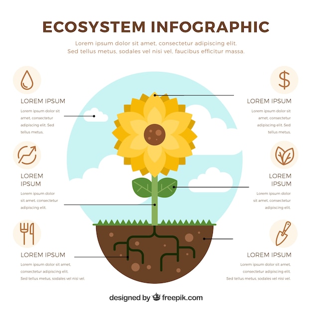 Vector gratuito infográfico del ecosistema