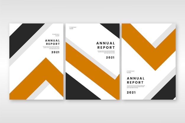 Informe anual abstracto