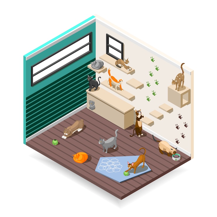 Vector gratuito inicio para gatos composición isométrica