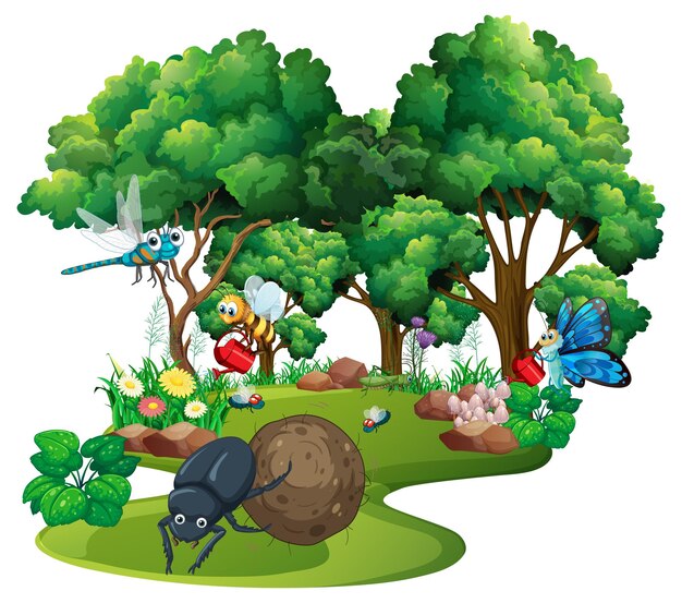 Insecto de dibujos animados y escarabajo en el bosque