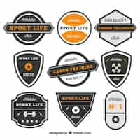 Vector gratuito insignias retro gimnasio