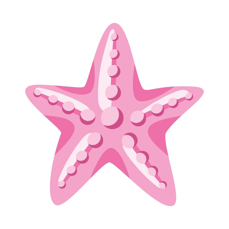 Vector gratuito invertebrado estrella de mar rosa