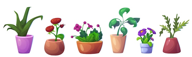Jardín de casa linda con planta en el vector de la olla de flores