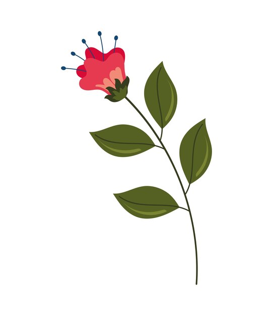jardín de flores de primavera roja