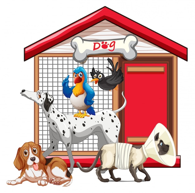 Jaula de perro con dibujos animados de grupo animal aislado