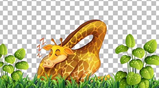 Vector gratuito jirafa en el campo de hierba sobre fondo transparente