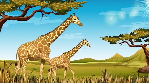 Vector gratuito jirafas en paisaje africano