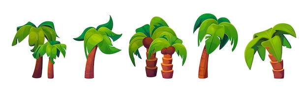 Juego de ilustración de dibujos animados de la palmera de coco