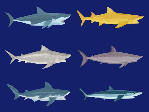Juego plano de tiburones de ataque con imágenes aisladas de vista lateral de peces depredadores de colores en la ilustración de vector de fondo azul