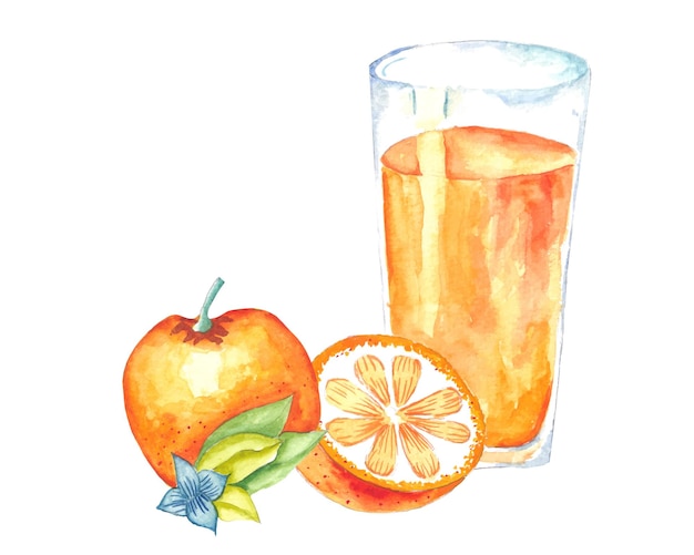 Jugo de naranja de color de agua dibujada a mano
