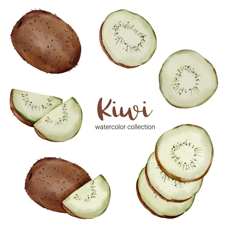 Vector gratuito kiwi en colección de acuarela, lleno de frutas y cortado en trozos