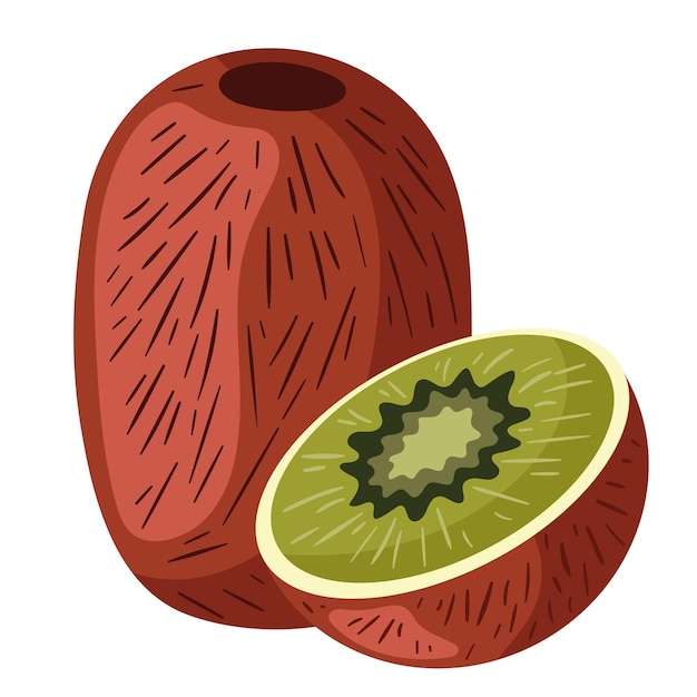 Vector gratuito kiwi fresco saludable