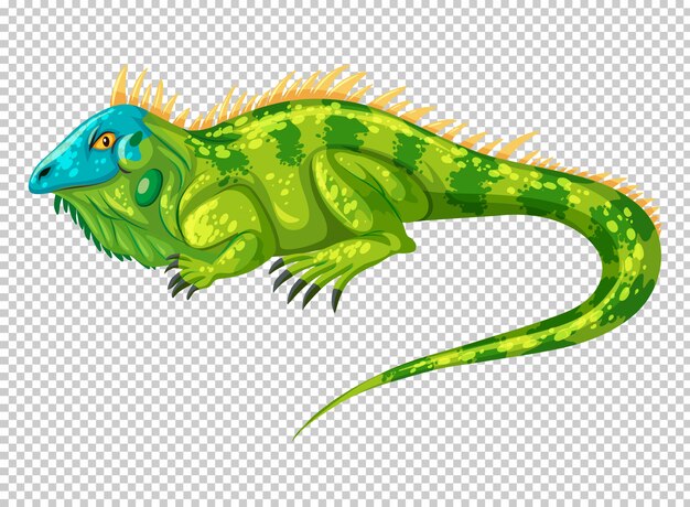 Lagarto salvaje en transparente