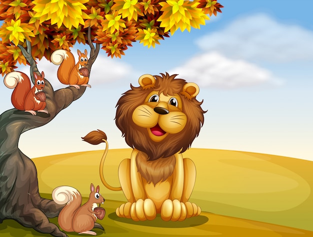 Un león con tres ardillas en la cima de la colina.