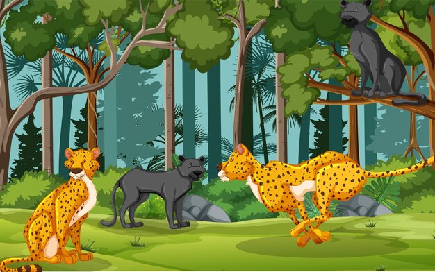 Leopardos y panteras negras en la escena del bosque.