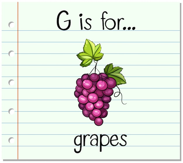 Vector gratuito la letra g de la flashcard es para uvas
