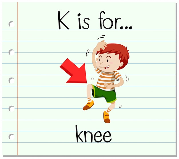 Vector gratuito la letra k de la flashcard es para rodilla