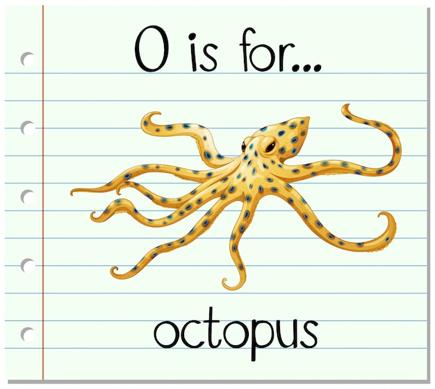 Vector gratuito la letra o de la flashcard es para pulpo