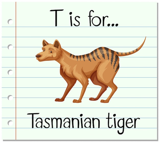 Vector gratuito la letra t de la flashcard es para el tigre de tasmania