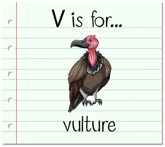 Vector gratuito la letra v de la flashcard es para buitre