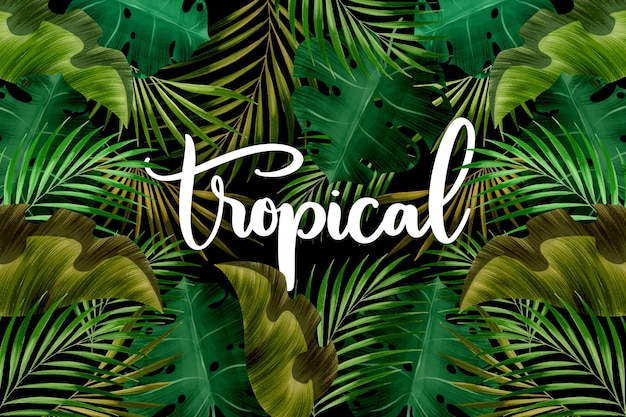 Letras de palabras tropicales y hojas