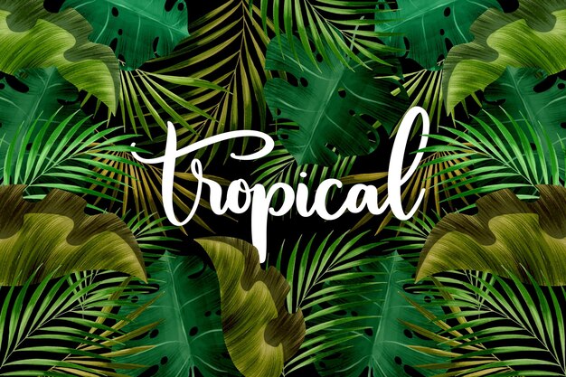 Letras de palabras tropicales y hojas