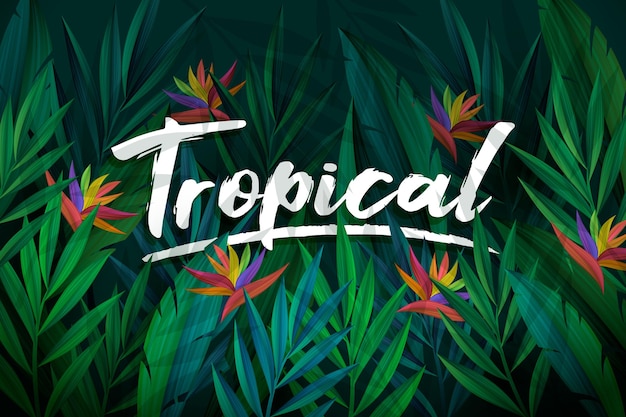 Vector gratuito letras tropicales con fondo de hojas y flores