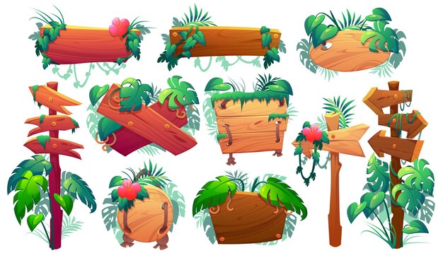 Letreros de madera, tablones y punteros en la jungla.