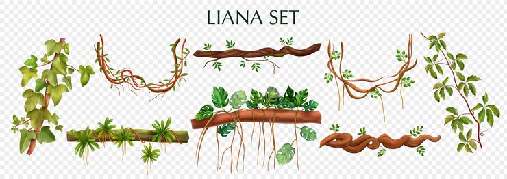 Vector gratuito lianas tropicales enredadera con virginia creeper monstera planta decorativa vides conjunto de elementos