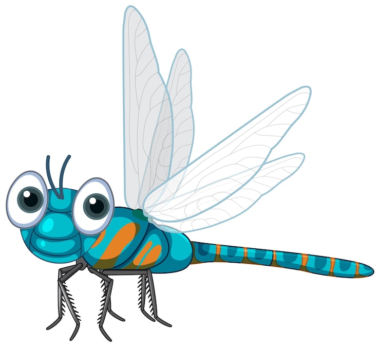 Vector gratuito libélula de dibujos animados aislado sobre fondo blanco
