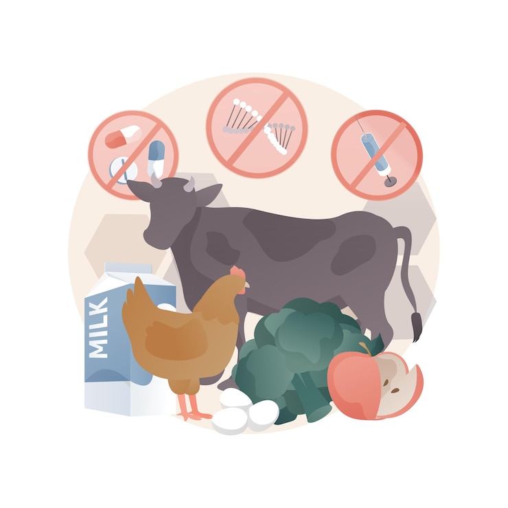 Vector gratuito libre de antibióticos, hormonas, alimentos transgénicos, ilustración abstracta en estilo plano