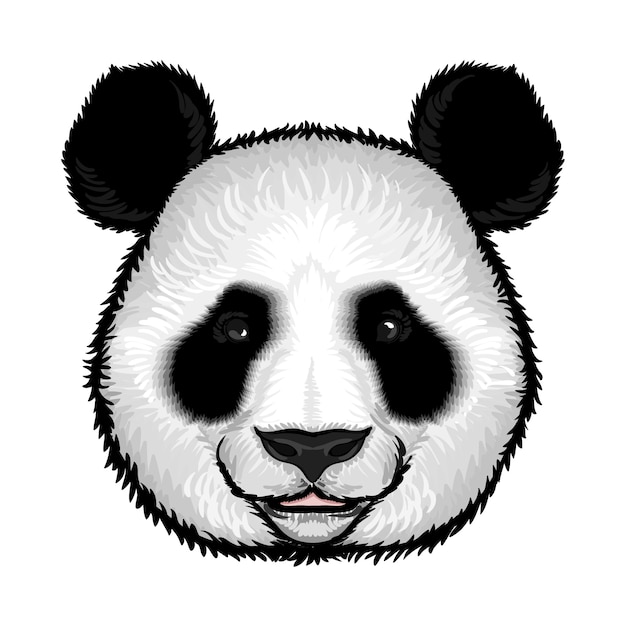 Linda cara de panda esponjoso