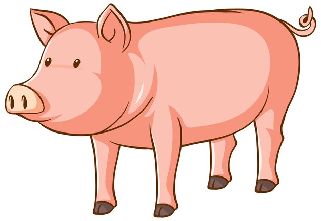 Una linda caricatura de cerdo sobre fondo blanco.