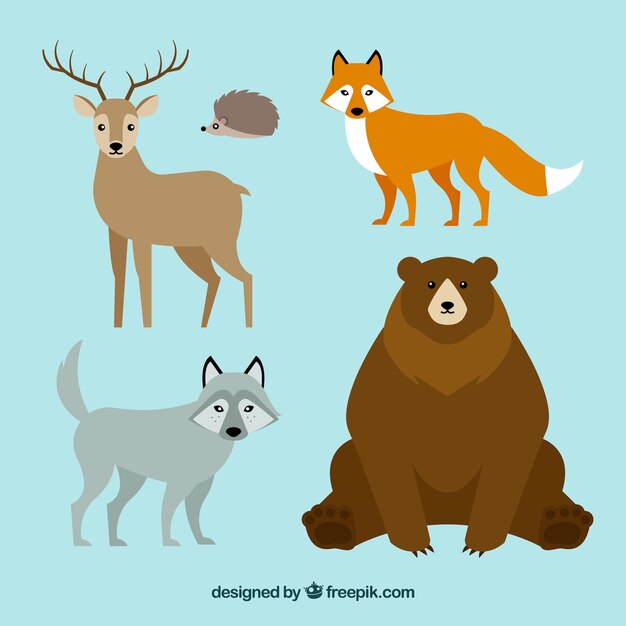 Linda colección de animales de invierno