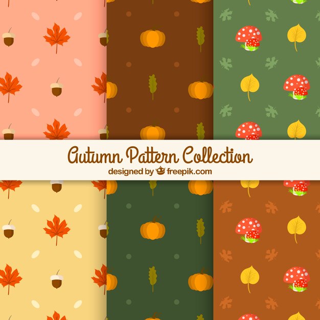 Linda colección de patrones con hojas de otoño