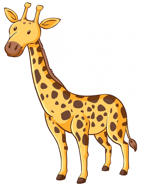 Vector gratuito linda jirafa de pie sobre fondo blanco