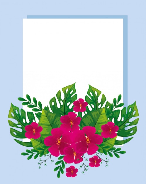 Vector gratuito lindas flores con hojas tropicales