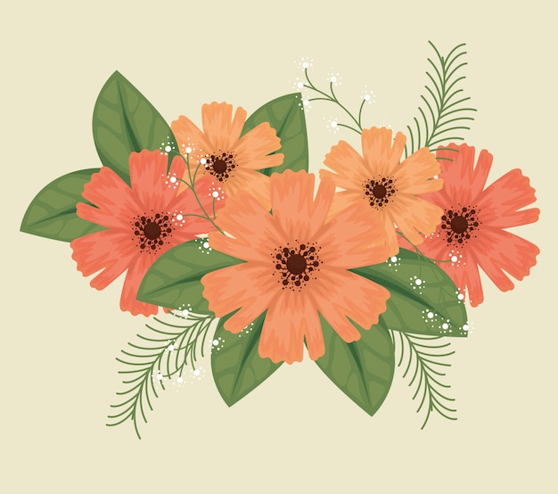 Vector gratuito lindas flores con pétalos y hojas