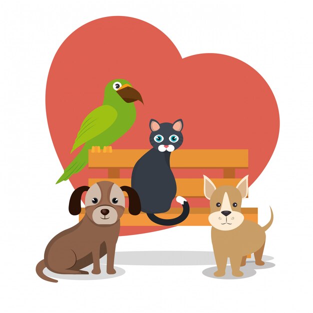 lindas mascotas e iconos de la tienda de mascotas