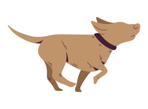 Lindo cachorro silueta caminando