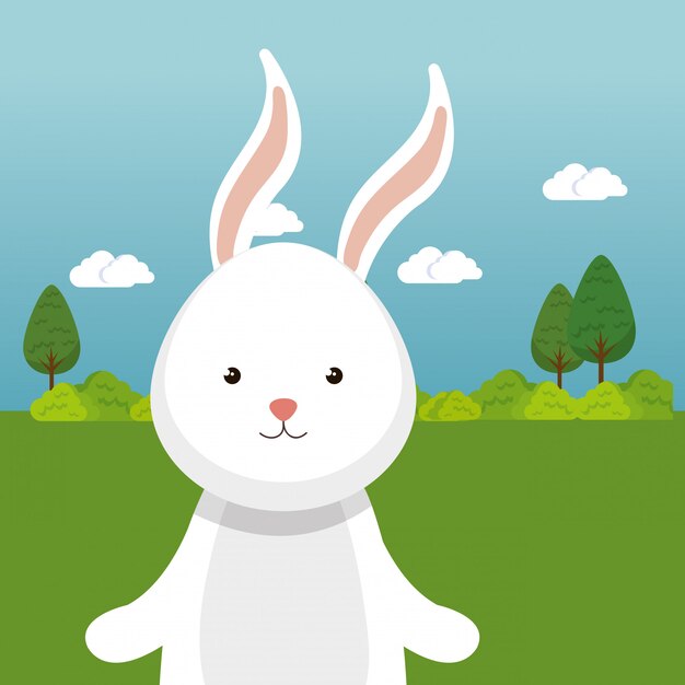 lindo conejo en el personaje de paisaje de campo