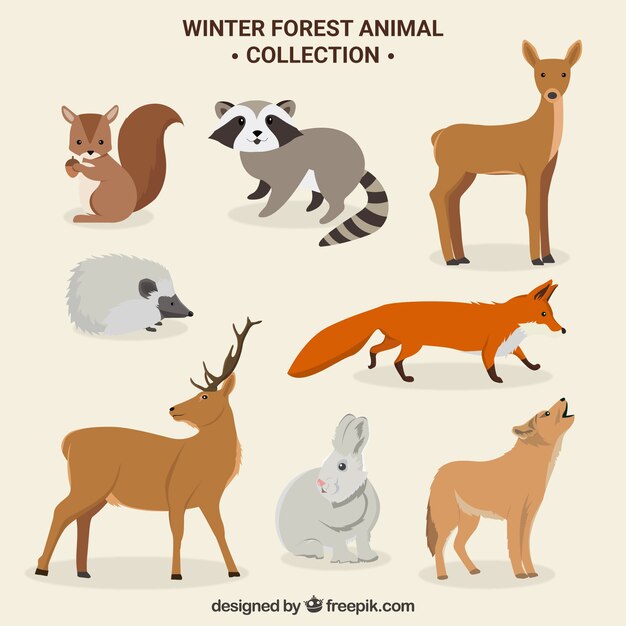 Lindo conjunto de animales de bosque de invierno