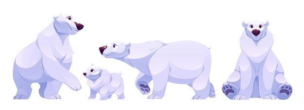 Lindo dibujo animado de oso polar animal del norte blanco ártico