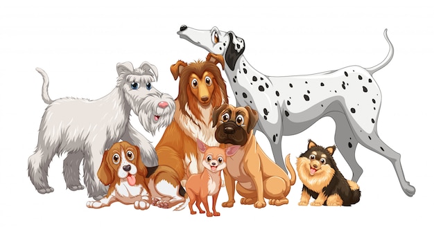 Vector gratuito lindo grupo de perros animales aislado sobre fondo blanco.